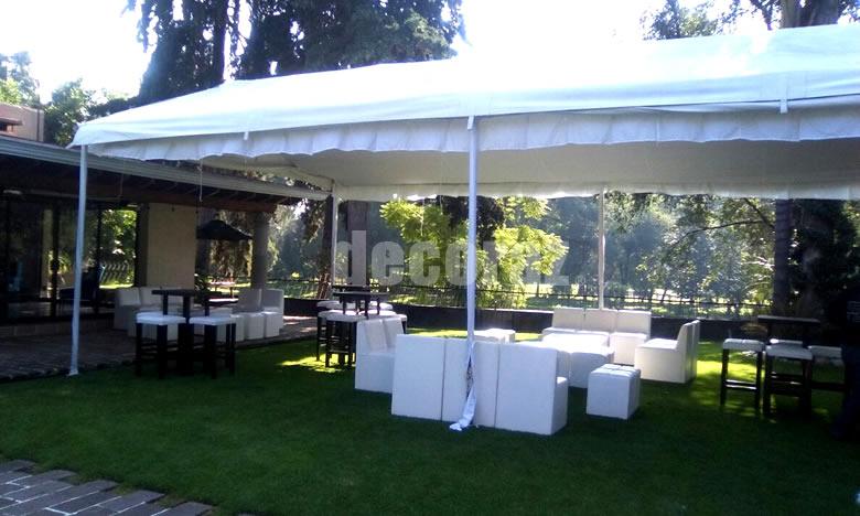 carpa-3