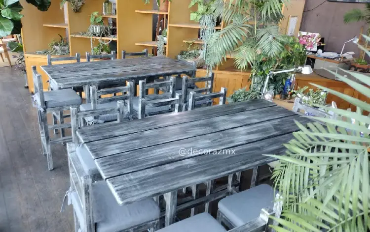 Renta de Periquera Rectangular en Restaurant